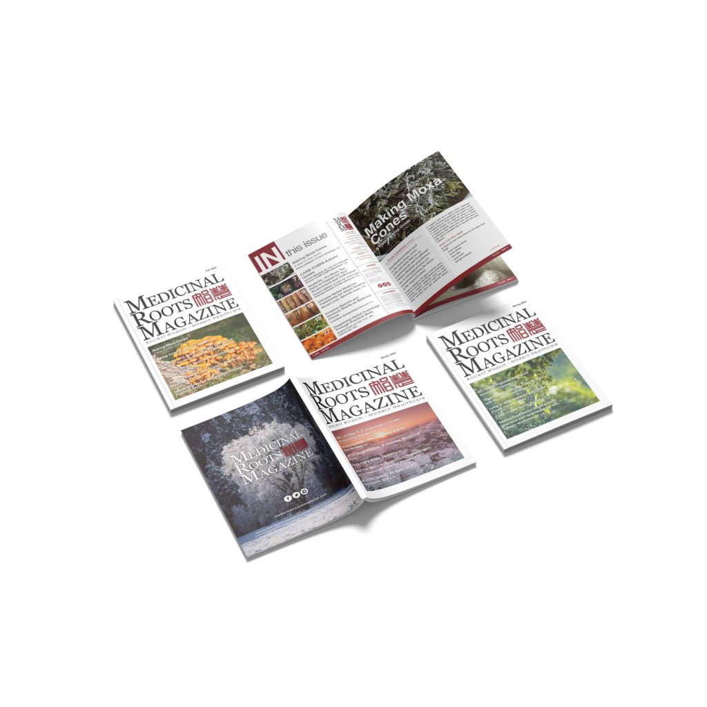 Seasonal magazine design for Medicinal Roots Magazine